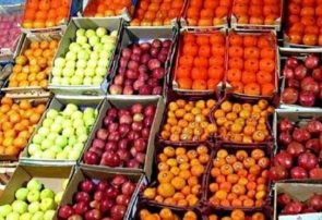 امکان خرید میوه و صیفی‌جات در خانه، برای شهروندان تبریزی فراهم شد