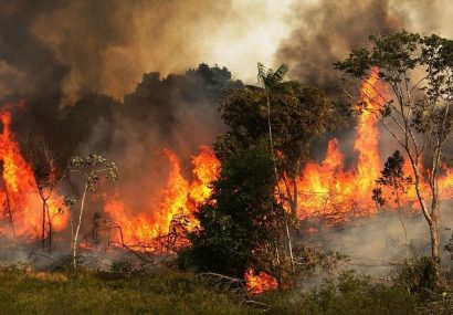 هشدار محیط زیست آذربایجان‌شرقی درباره آتش‌سوزی جنگل‌ها