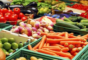 افزایش ۶ درصدی صادرات کالاهای کشاورزی از آذربایجان‌شرقی