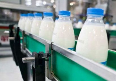 تولید بیش از ۵۵۸ هزار تن شیر در آذربایجان‌شرقی