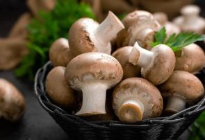 ارزش های غذایی قارچ خوراکی را بدانیم