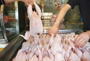 تفاوت ۶۶۰۰ تومانی قیمت مرغ زنده با آماده طبخ
