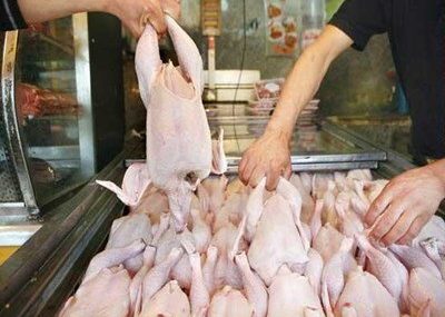تفاوت ۶۶۰۰ تومانی قیمت مرغ زنده با آماده طبخ