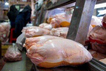 مرغداران نمی‌توانند مرغ را در کشتارگاه به صورت قطعه بندی به فروش برسانند