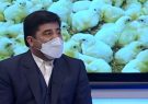 خودکفایی آذربایجان شرقی در تولید گوشت مرغ