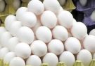 تخصیص نهاده خوراکی به واحدهای تولیدی مرغ تخمگذار هریس در ازای تحویل تخم مرغ