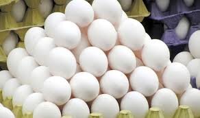 تخصیص نهاده خوراکی به واحدهای تولیدی مرغ تخمگذار هریس در ازای تحویل تخم مرغ