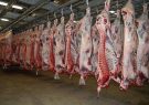 اقدام کشتارگاه تبریز برای جلوگیری از افزایش قیمت گوشت