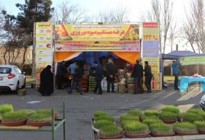 میوه شب عید در ۲۰ نقطه از شهر تبریز عرضه می‌شود