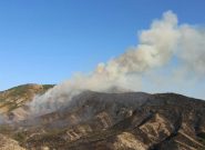 هشدار مدیرکل حفاظت محیط زیست آذربایجان شرقی در خصوص آتش سوزی جنگل‌ها