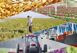 چرایی تولید صادرات محور محصولات کشاورزی