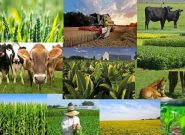 کدام عوامل را باید دخیل در توسعه کشاورزی بدانیم!؟