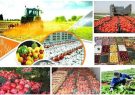 برای افزایش صادرات محصولات کشاورزی چه می توان کرد؟