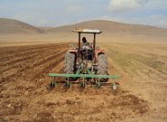 ۷۲۰ هزار هکتار از اراضی کشاورزی آذربایجان‌شرقی زیر کشت پاییزه می‌رود