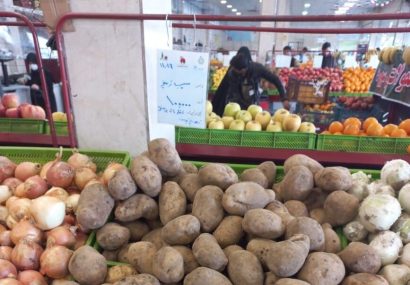 سیب زمینی با قیمت مصوب در سامانه { بازرگام } آذربایجان شرقی عرضه می شود