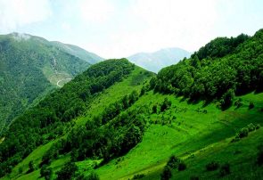 جنگل های ارسباران با همکاری ایران و آذربایجان ثبت جهانی می شود