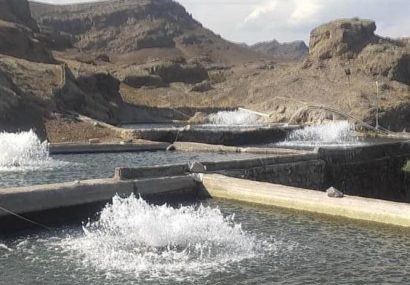 تولید آبزیان با آب کارگاه های ماسه شویی در استان آذربایجان شرقی