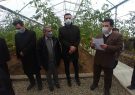 افتتاح کلینیک گیاه پزشکی  در شهرستان ورزقان