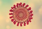 یک فوتی و ۸۶ مبتلا به ویروس کرونا در آذربایجان شرقی