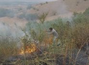 مهارمیدانی آتش توسط نیروهای واکنش سریع منطقه حفاظت شده ارسباران