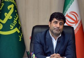 ارسال ۱۱ هزار تن بذور اصلاح شده به شهرستانهای آذربایجان شرقی