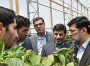 بازدید سرپرست وزارت جهادکشاورزی از دومین  شهرک بزرگ گلخانه ای استان در عجب شیر