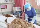 شمار فوتی‌های ناشی از کرونا در آذربایجان‌شرقی به ۱۳۰ نفر رسید