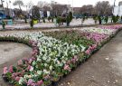 تبریز با گل‌های زیبا به استقبال بهار می‌رود
