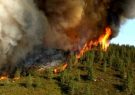 وقوع ۶۰ مورد آتش‌سوزی در جنگل‌ها و مراتع آذربایجان‌شرقی