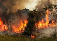 هشدار محیط زیست آذربایجان‌شرقی درباره آتش‌سوزی جنگل‌ها