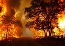 آمادگی کامل ستاد مدیریت بحران برای پیشگیری از آتش‌سوزی جنگل‌ها