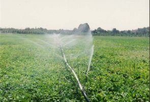 کاهش ۴۰درصدی آب مصرفی بخش کشاورزی حوضه دریاچه ارومیه