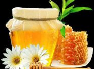 آذربایجان‌شرقی سالانه ۱۵ هزار تن عسل تولید می‌کند