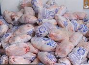 توزیع گوشت مرغ منجمد در آذربایجان‌شرقی آغاز شد