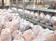 خبر خوش کاهش قیمت مرغ در آذربایجان‌شرقی
