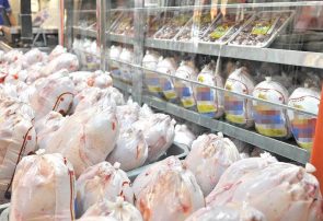 خبر خوش کاهش قیمت مرغ در آذربایجان‌شرقی