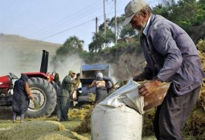 افزایش ۵۳ درصدی دریافتی مستمری‌ بگیران صندوق بیمه اجتماعی روستاییان در آذربایجان ‌شرقی