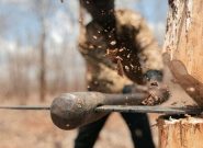 کشف و توقیف ۱۲۰ اصله درخت جنگلی قطع شده در شهرستان کلیبر
