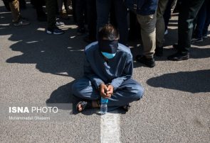 دستگیری ۱۲ نفر از اراذل و اوباش در تبریز