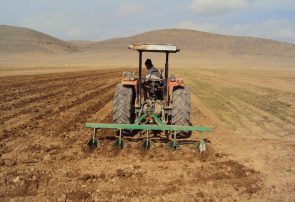 ۷۲۰ هزار هکتار از اراضی کشاورزی آذربایجان‌شرقی زیر کشت پاییزه می‌رود