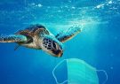 شناور شدن ۷۵ درصد اقلام مصرفی کووید-۱۹روی آب‌ها/افزایش مصرف مواد پلاستیکی با شیوع کرونا