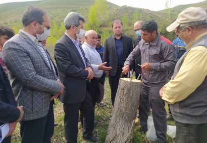 صعود گروه کوهنوردی سازمان جهادکشاورزی آذربایجان شرقی به قلعه تاریخی پشتاب شهرستان هوراند