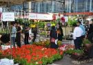 نمایشگاه‌های تخصصی گل و گیاه و فضای سبز در تبریز گشایش یافت