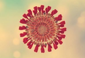 یک فوتی و ۸۶ مبتلا به ویروس کرونا در آذربایجان شرقی