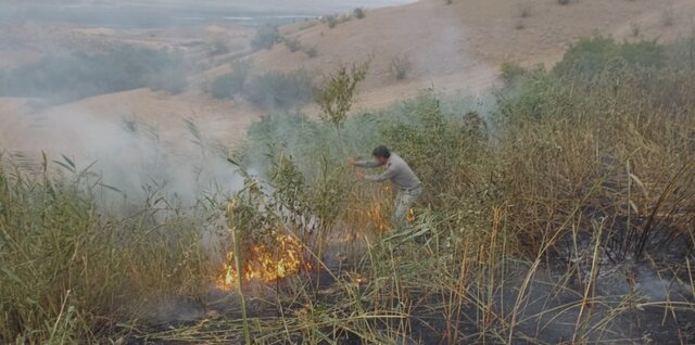 مهارمیدانی آتش توسط نیروهای واکنش سریع منطقه حفاظت شده ارسباران