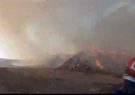 آتش‌سوزی یک واحد گاوداری در شربیان