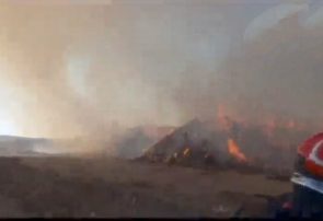 آتش‌سوزی یک واحد گاوداری در شربیان