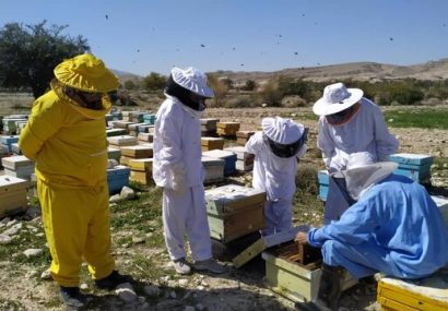 افزایش ۴.۴ درصدی تولید عسل در آذربایجان شرقی
